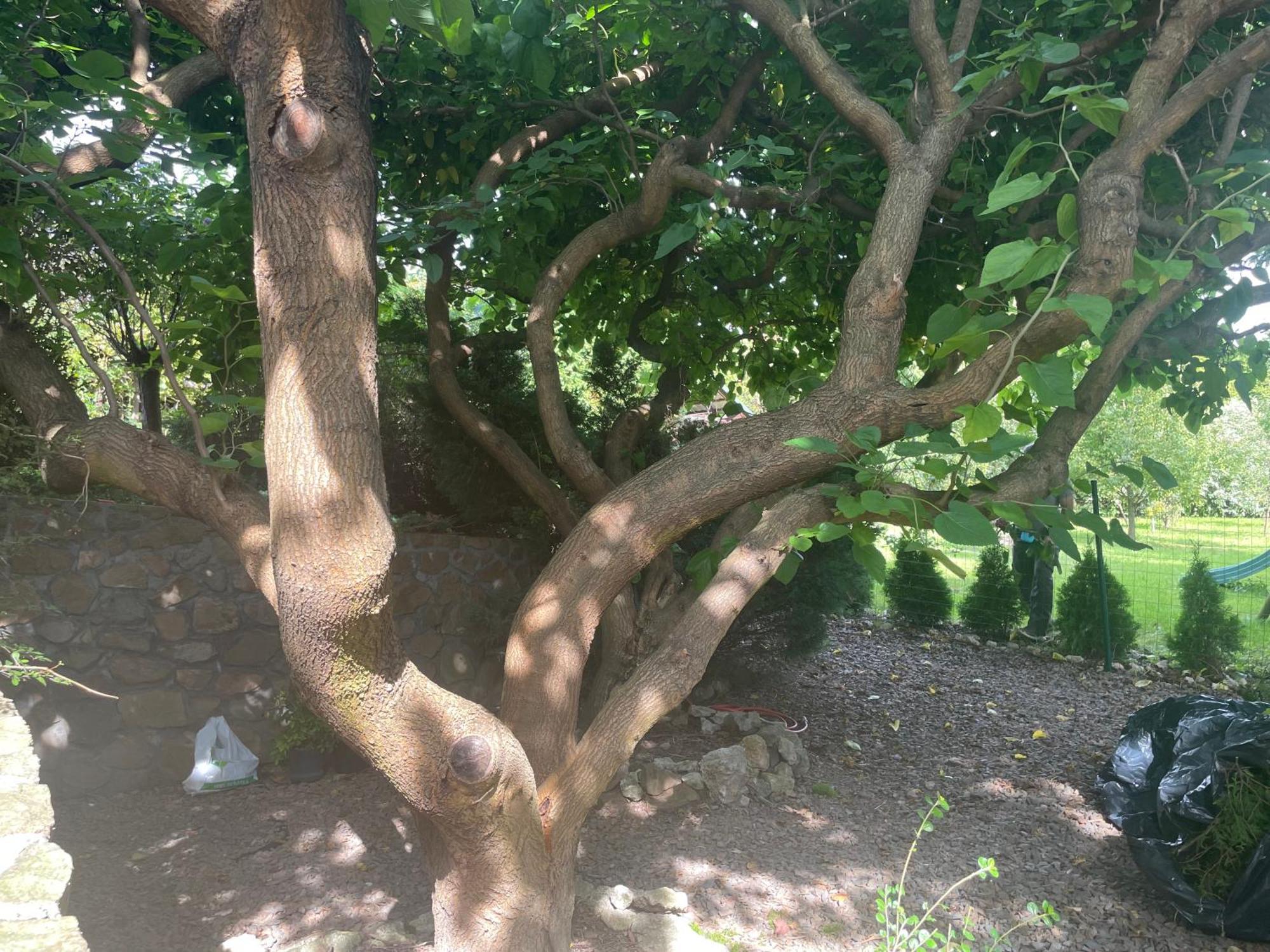 Uroczy Dom I Bezplatny Parking Villa Mnikow Dış mekan fotoğraf